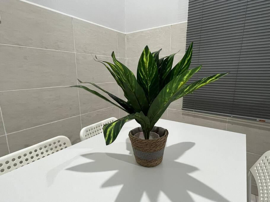 D'Sara Homestay Fully Furnished 3 Bedrooms All Aircond 2 Miles Centre Chukai Extérieur photo